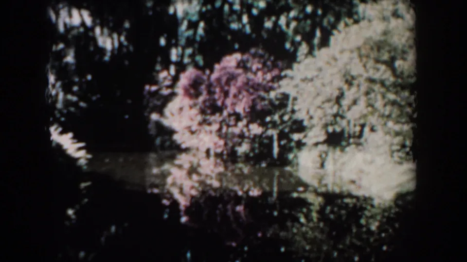 1957 Florida home-movie frame with dark tree reflections on pond water and bright foliage near the bank.