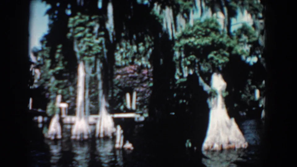 Cypress trunks and water dominate the frame, with the white-dressed woman partly visible near the left edge in Florida footage.