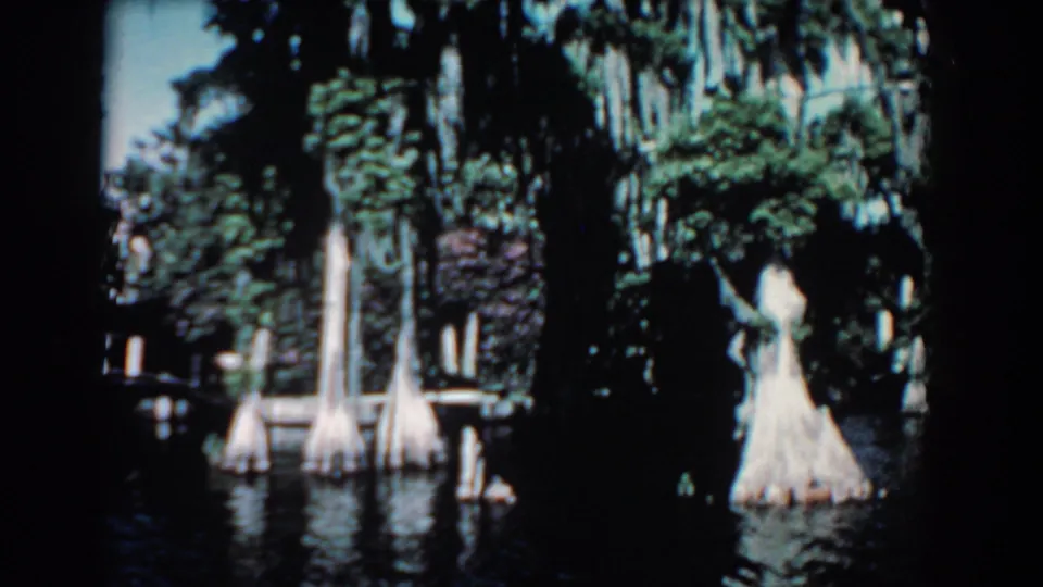 A cypress swamp view shows dark water and pale tree trunks, with the white-dressed woman partially visible near the right side.