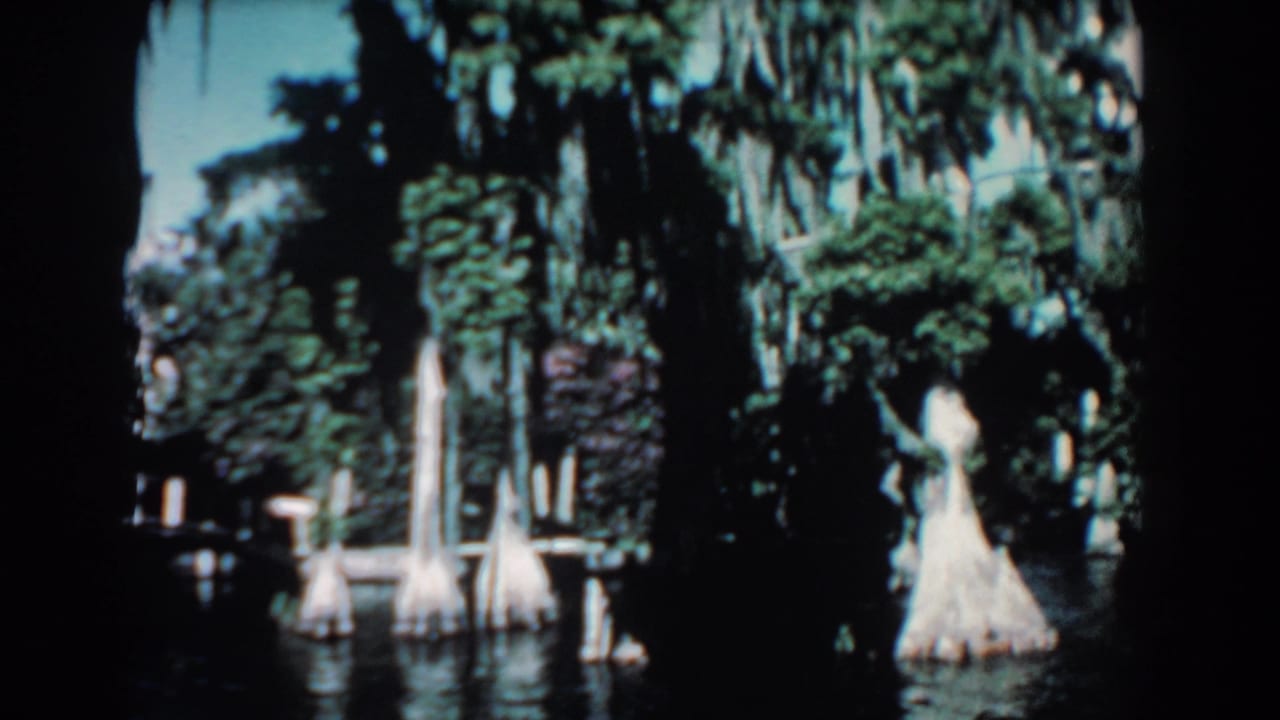 1957 Florida 8mm frame showing cypress trees, Spanish moss, dense greenery, and dark reflective swamp water.