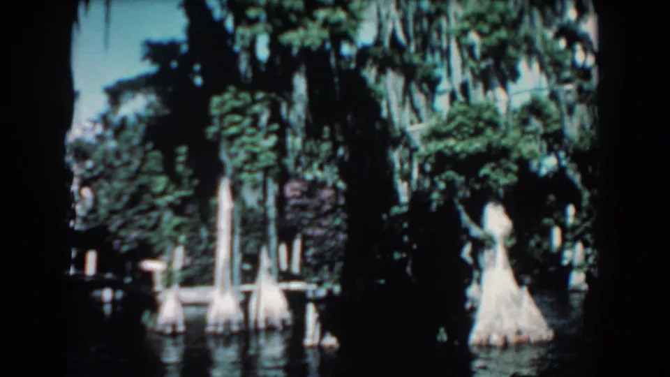 1957 Florida 8mm frame showing cypress trees, Spanish moss, dense greenery, and dark reflective swamp water.