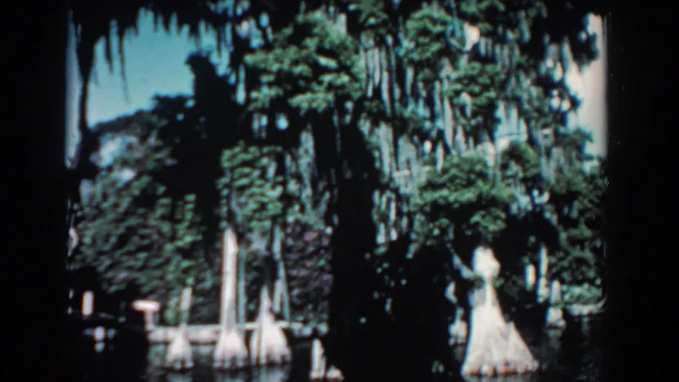 1957 Florida home-movie frame with mossy cypress trees, shaded foliage, and still water reflecting the shoreline.