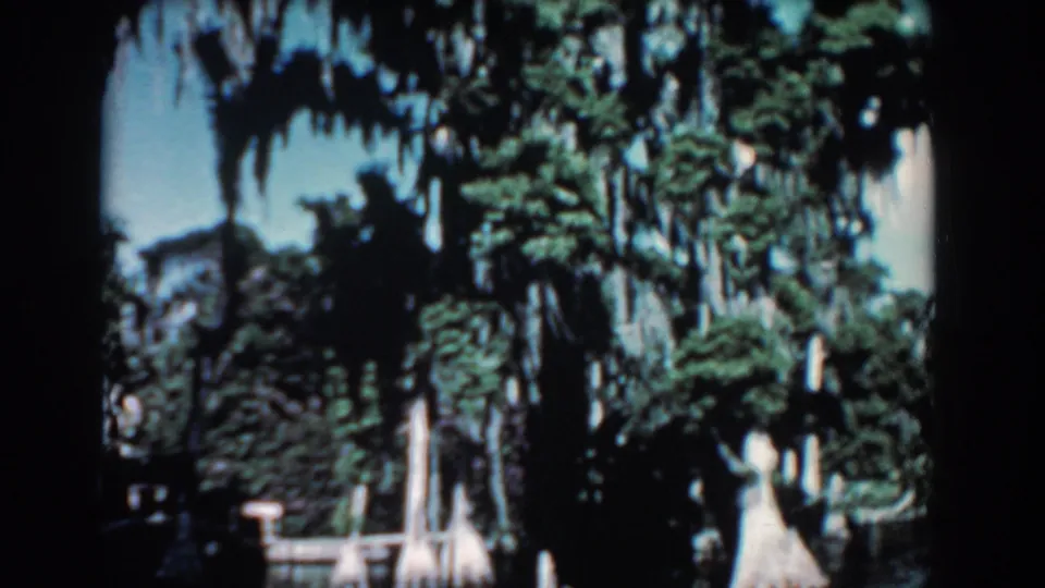 1957 Florida home-movie frame showing a shaded cypress swamp with moss, layered greenery, and calm water below.