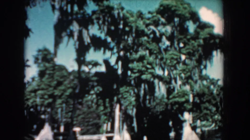 1957 Florida 8mm frame showing a closer, soft-focus view of trees, moss, and sky within dark film borders.