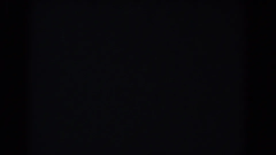 Dark end frame from the 1957 Florida 8mm clip, with the preceding landscape no longer clearly visible.