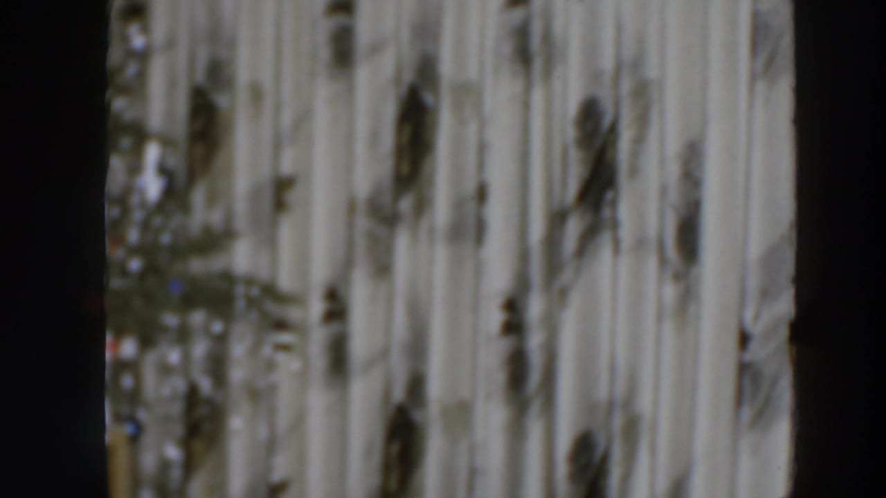 Patterned curtains and a dim interior edge in a soft 8mm frame.