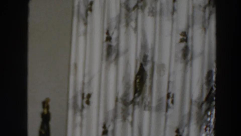 A close interior view shows patterned curtains, a pale wall, and a small dark statuette from the 1957 Wheeling home-movie scene.