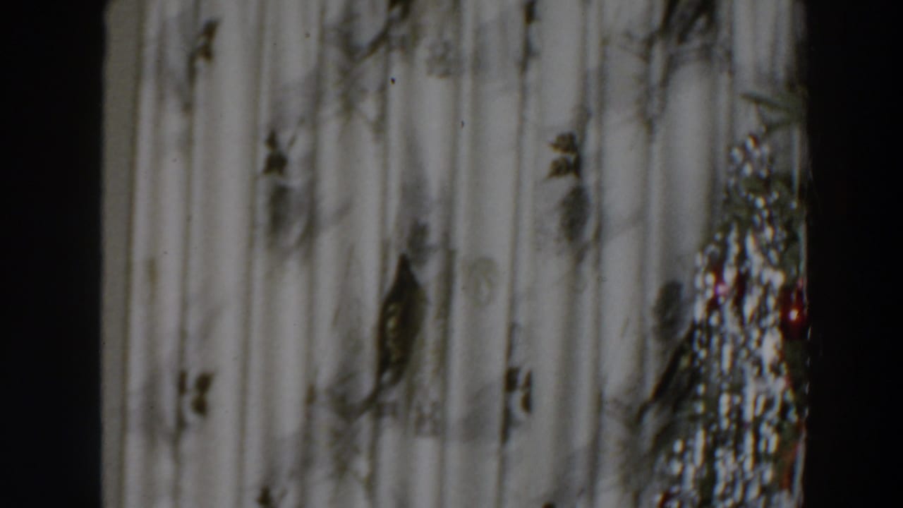 1957 Wheeling, Ohio home-movie frame showing a softly focused Christmas tree with tinsel near pale curtains.