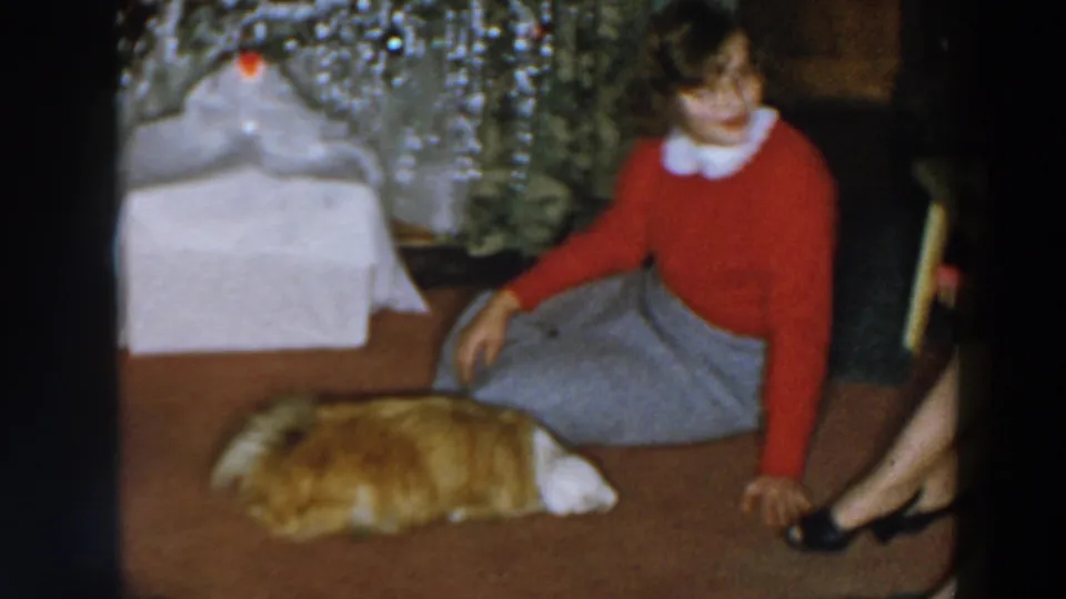 A young female in a red sweater and gray skirt sits on the floor near a resting dog, wrapped gift, and decorated tree in the 1957 holiday interior.