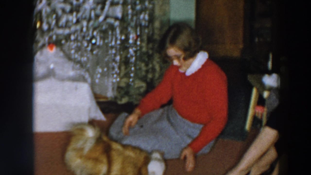 Woman seated on the floor reaches toward a fluffy dog beside a decorated Christmas tree.