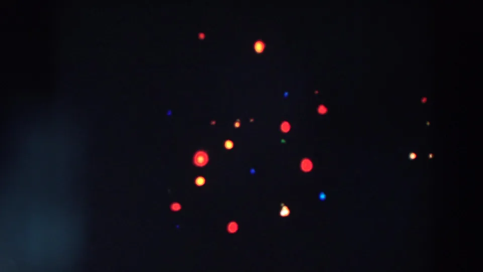 Close 1957 home-movie view of red, orange, blue, and white Christmas lights glowing against a darkened tree.