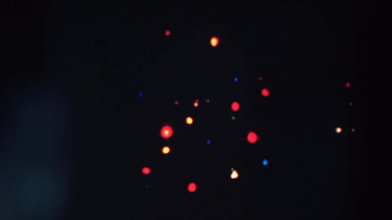 Soft red and yellow points of light against a dark night background.