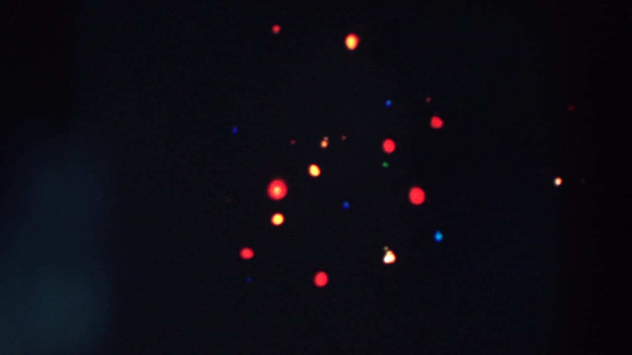 Colored Christmas tree lights glowing softly against a dark background.