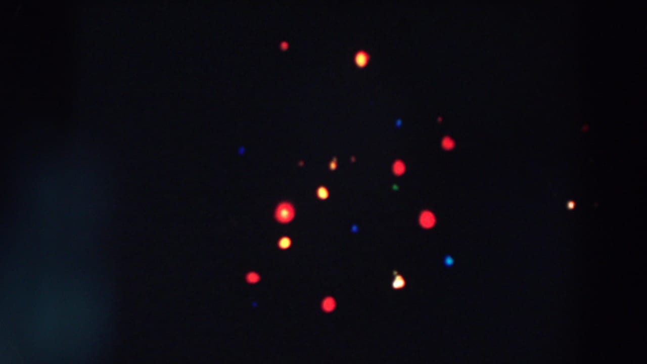 1957 Wheeling, Ohio home-movie frame with softly blurred colored Christmas lights clustered across a dark tree area.