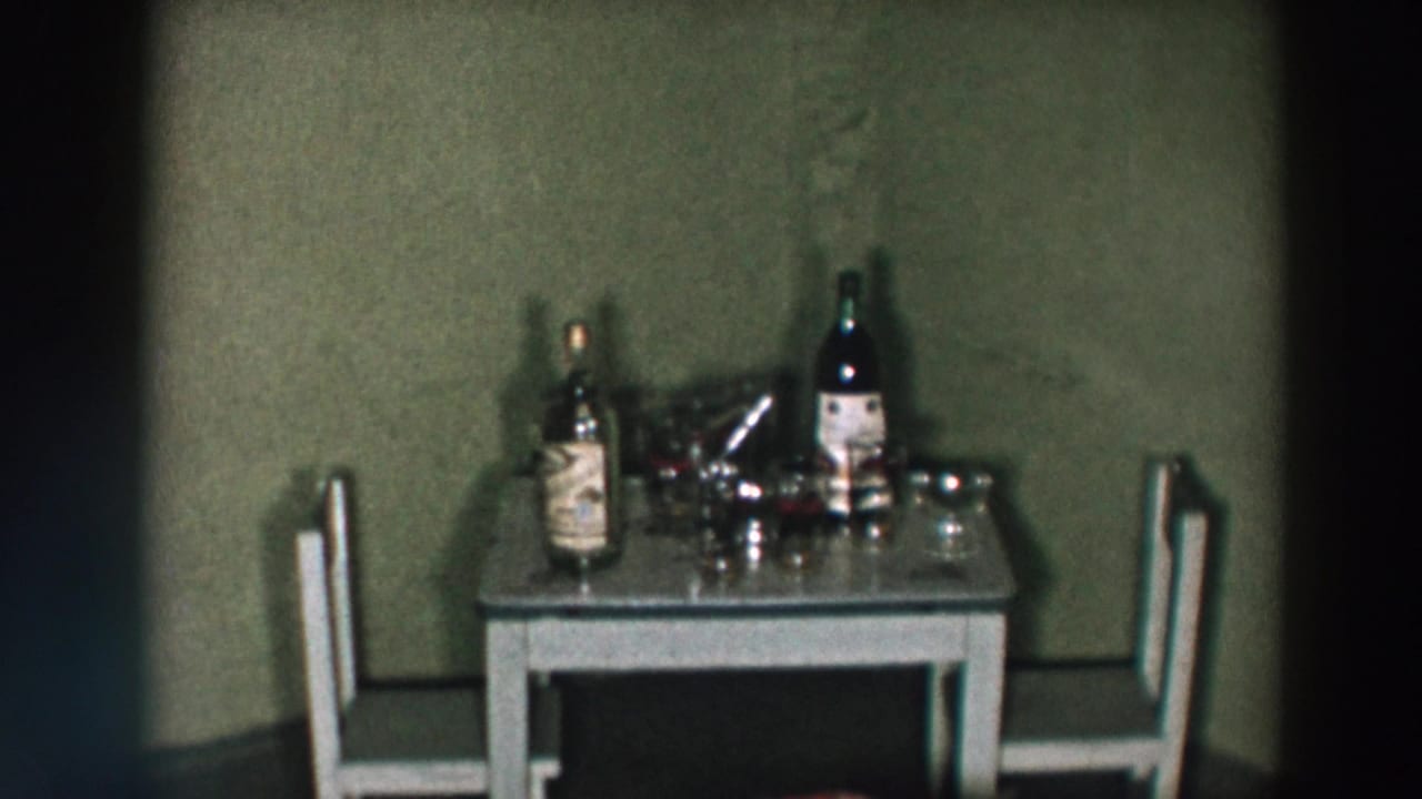 1957 Wheeling, Ohio domestic scene with a table arranged for drinks, two chairs, bottles, glasses, and a cocktail shaker.