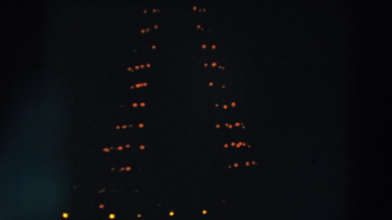 Dark night frame with warm bulbs forming a Christmas tree-like outline.