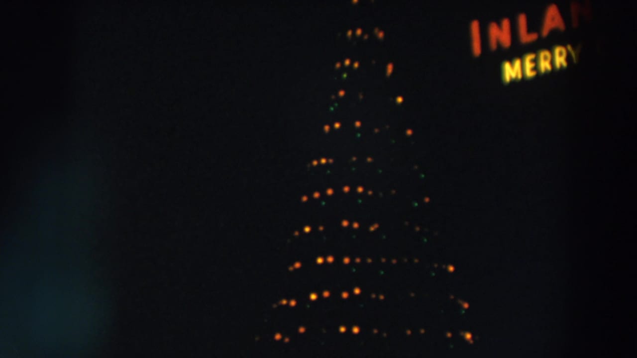 Tall outdoor Christmas tree lights glow beside cropped neon letters in a dark night scene.