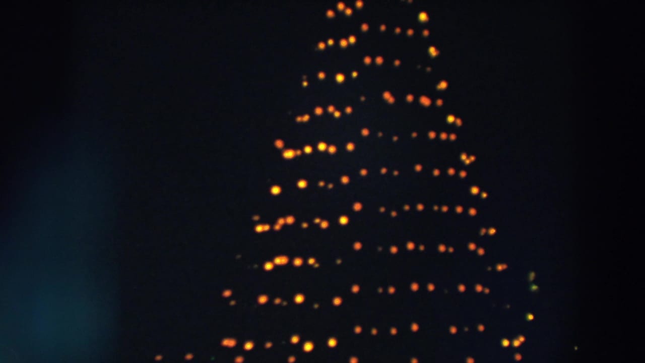Lighted Christmas tree at night, framed slightly higher with warm bulbs in horizontal rows.