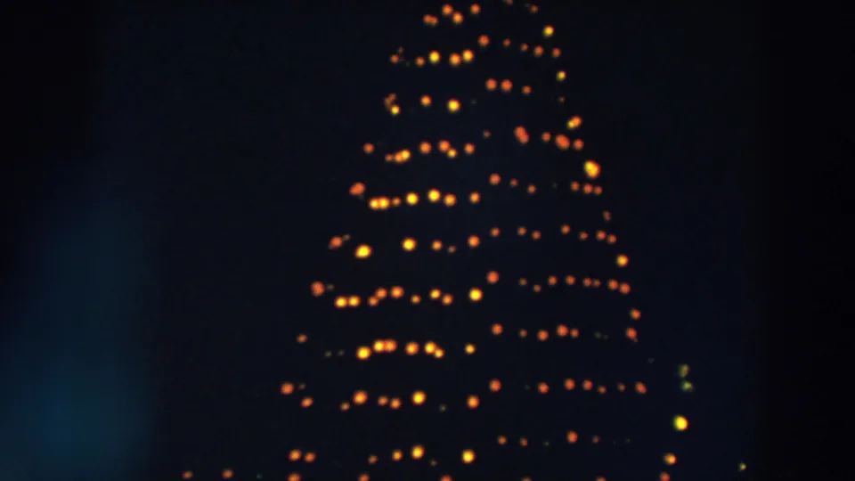 1957 Wheeling, Ohio home-movie frame showing much of the tall outdoor Christmas tree display glowing with warm lights at night.