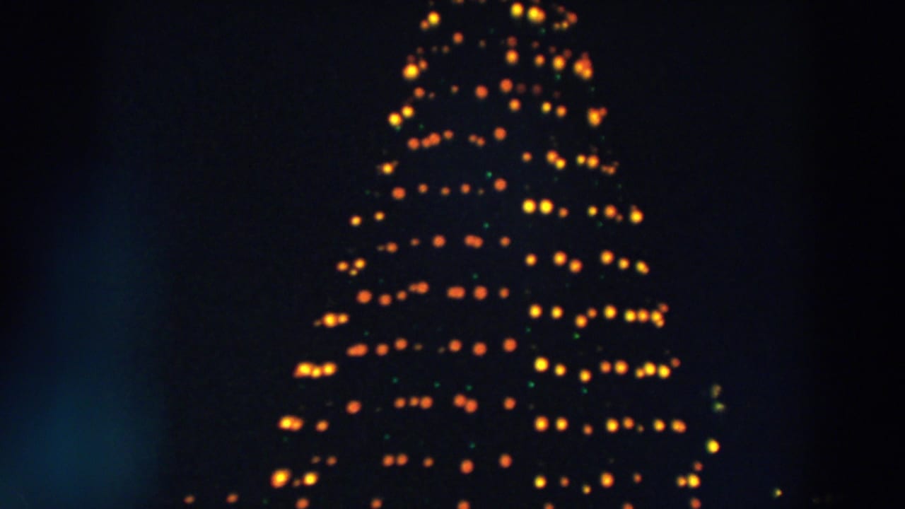 Tree-shaped rows of orange and yellow lights against a dark night sky.