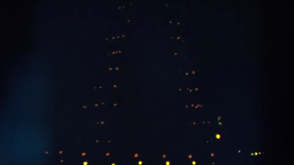A soft 8mm night frame shows warm lights on a large Christmas tree display in Wheeling, Ohio, with little surrounding detail visible.