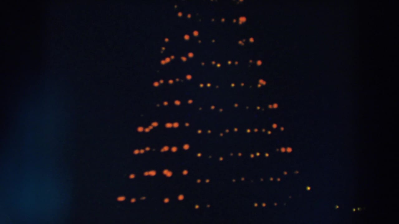 Dark night frame with a large Christmas tree outlined by warm rows of lights.