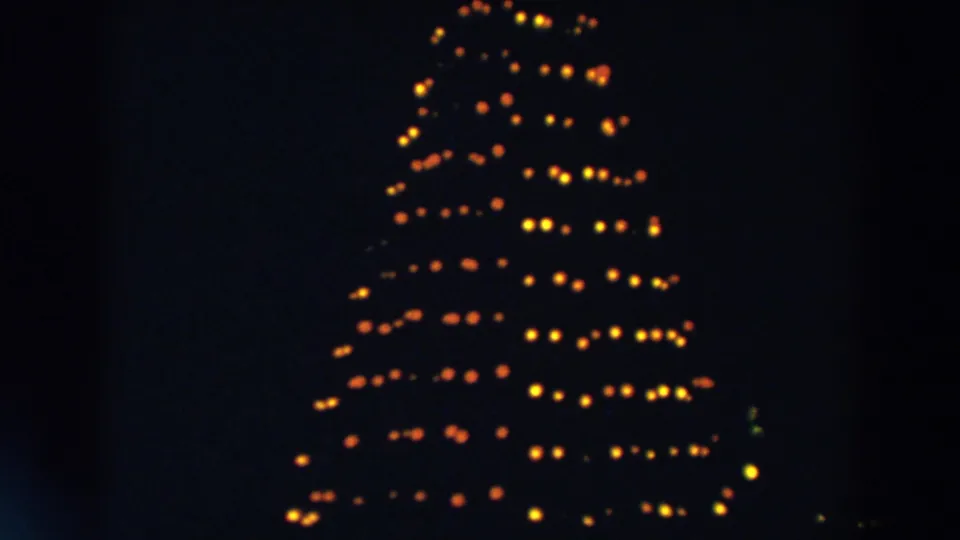 A closer-feeling 8mm view of the holiday tree shows warm orange and yellow bulbs glowing through heavy night shadow.