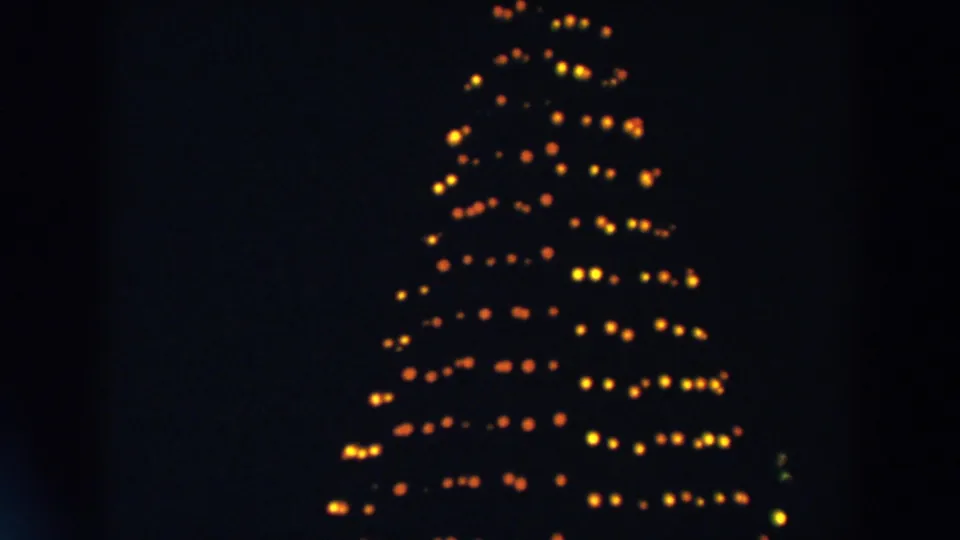 Final frame shows the large outdoor Christmas tree still lit in warm rows, with no people or signage visible in the dark 1957 Wheeling scene.