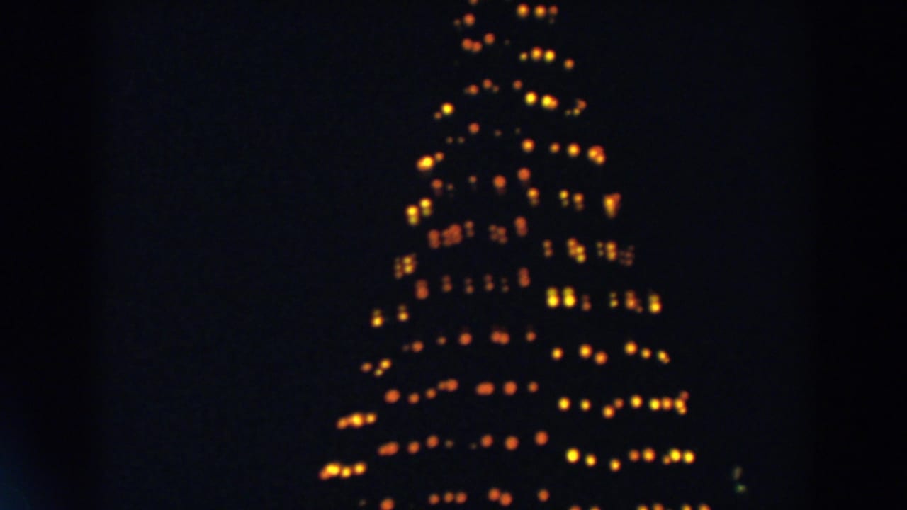Tall Christmas tree lights glowing against a dark night sky.