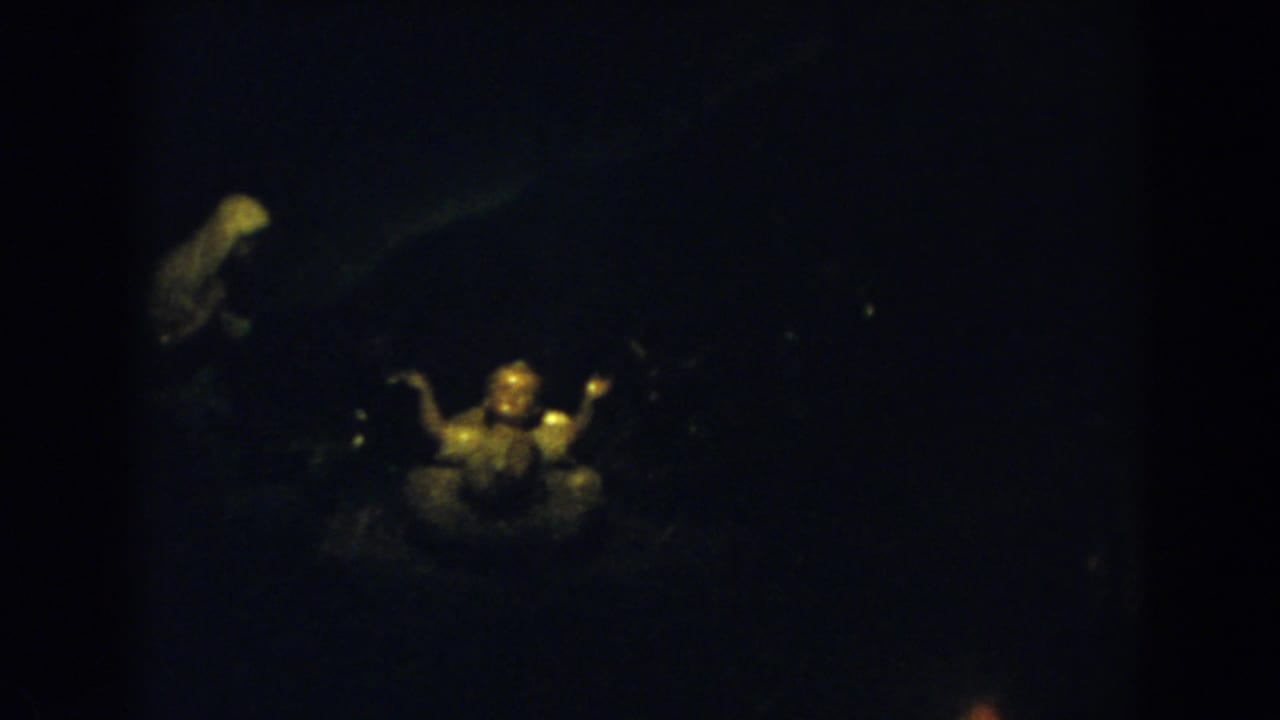1957 8mm frame from Wheeling, Ohio, with a seated religious-looking figurine lit by warm yellow light and a dim figure in the background.