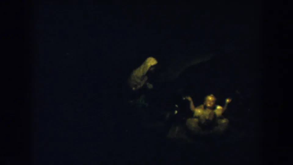 1957 8mm frame from Wheeling, Ohio metadata showing two religious figurines in very low light.