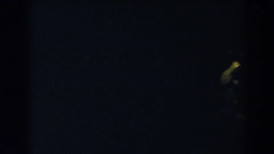 Underexposed 1957 8mm frame from Wheeling, Ohio, showing a small yellow glow and unclear shapes in darkness.