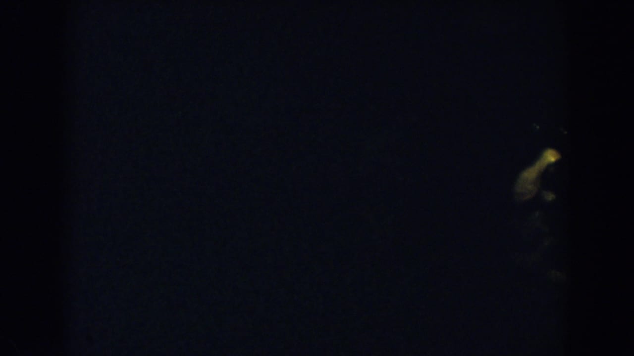 Mostly black nighttime frame with a small soft yellow light near the upper right.