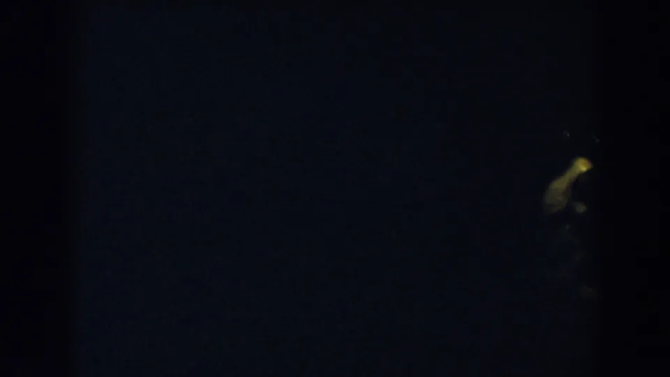 Dark 1957 Wheeling, Ohio home-movie frame with a single soft yellow light and little surrounding detail visible.