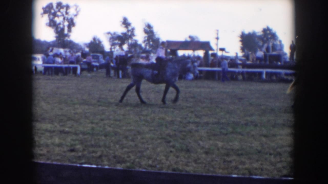 Horse and rider move across the ring while people and parked cars line the far side.
