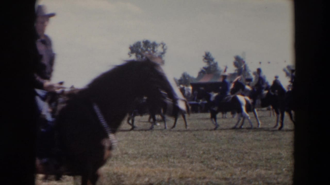 Mounted riders move across a grassy field with spectators and trees in the distance.
