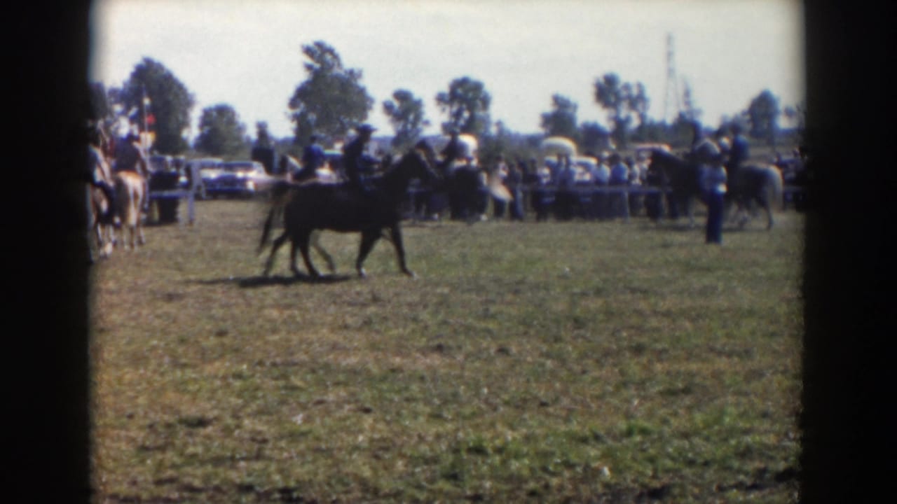 Riders on horses cross a grassy field with spectators and parked cars behind them.