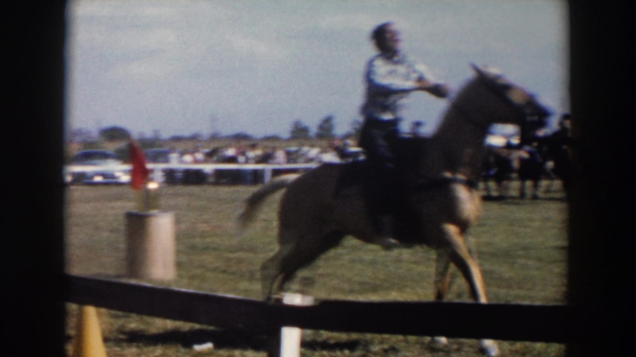 Rider on a saddled horse moving past a low rail in a grassy enclosure.