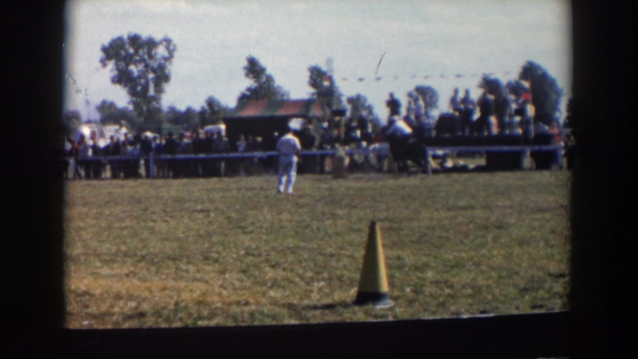 Distant rider and yellow cone on a field with a crowd watching behind a barrier.