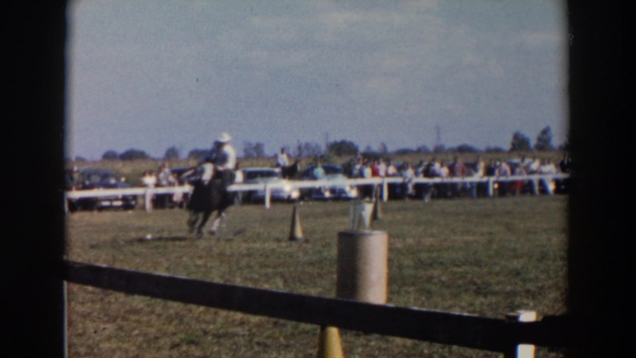 Horse and rider pass near a cone with spectators and cars in the background.