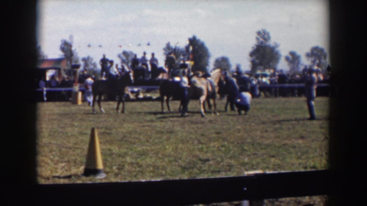 Several horses and riders stand near spectators at an outdoor horse show.