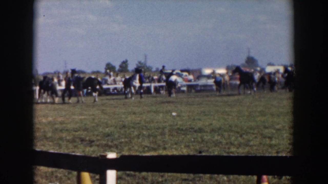 Several riders on horses move near a white rail fence with cars beyond.