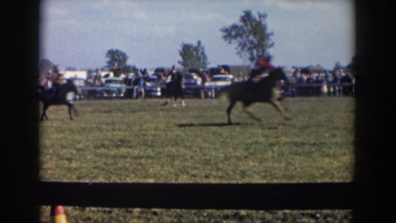 Horse and rider crossing a grassy field with spectators and parked cars behind them.