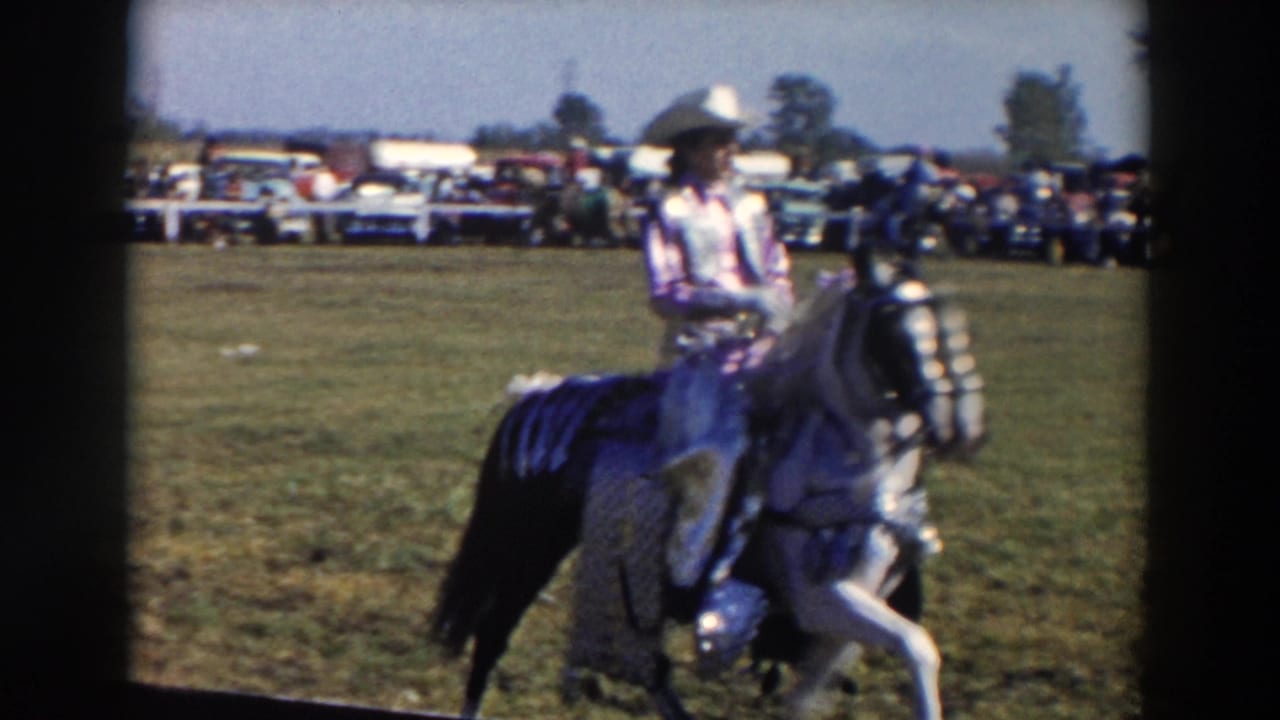 Woman rider on a black and white horse moves across the grass with cars and spectators behind.
