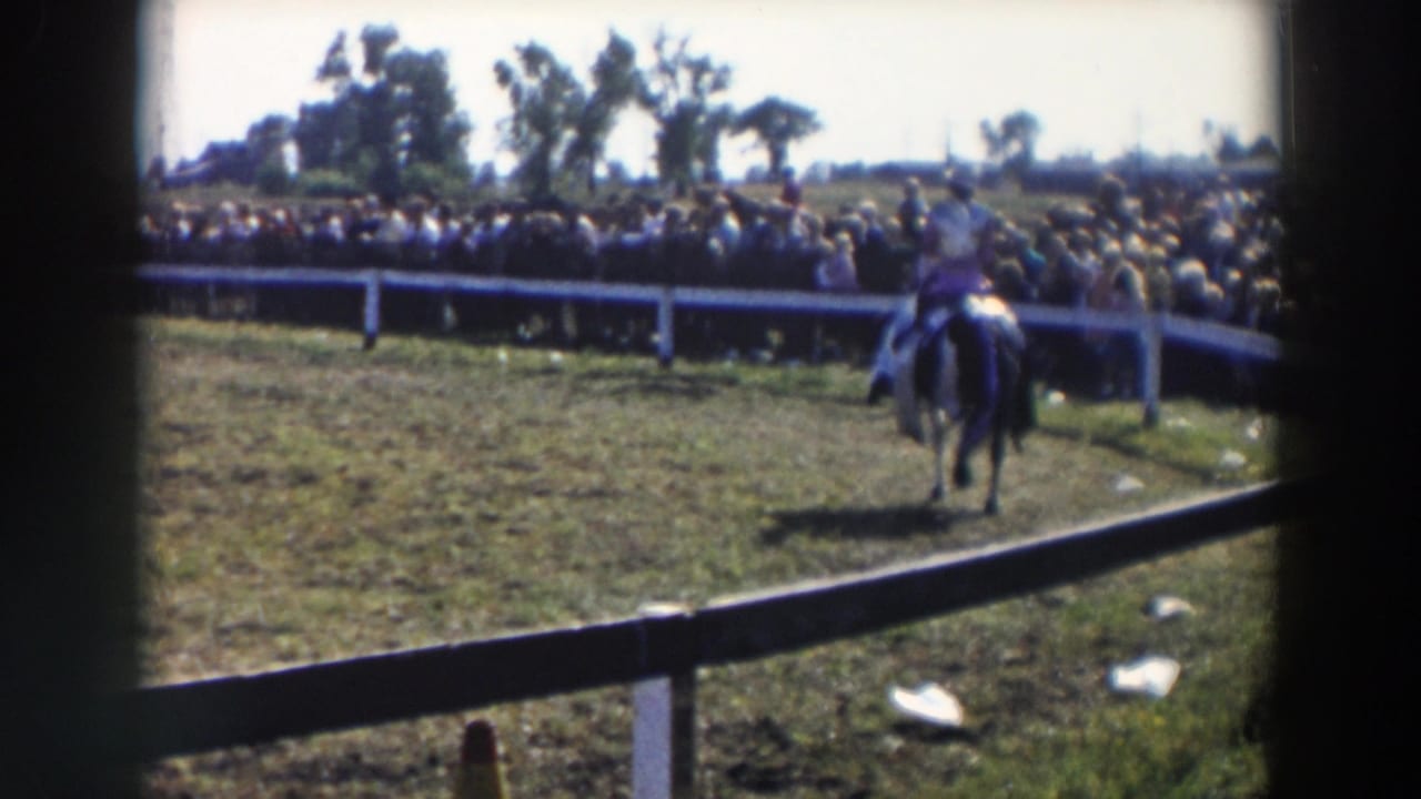 Rider on a horse moving across a grassy arena before a fence-line crowd.