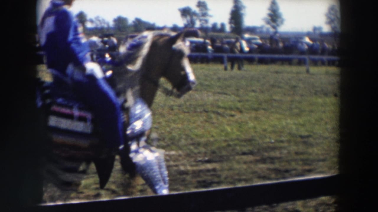 Close view of a rider in blue on a light horse near an arena rail.