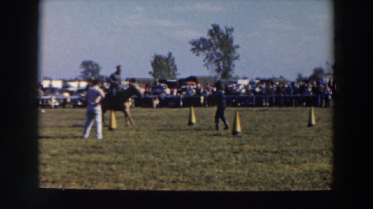Rider on a dark horse approaches yellow cones on a grassy field as spectators watch behind a barrier.