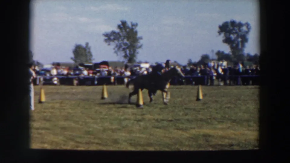 A dark horse and rider pass through the cone course in this 1957 Wheeling, Ohio outdoor equestrian scene.