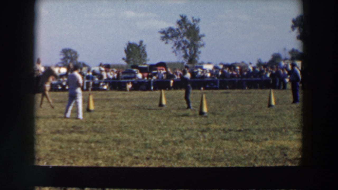 Rider on a grassy field near yellow cones with spectators and parked cars in the background.