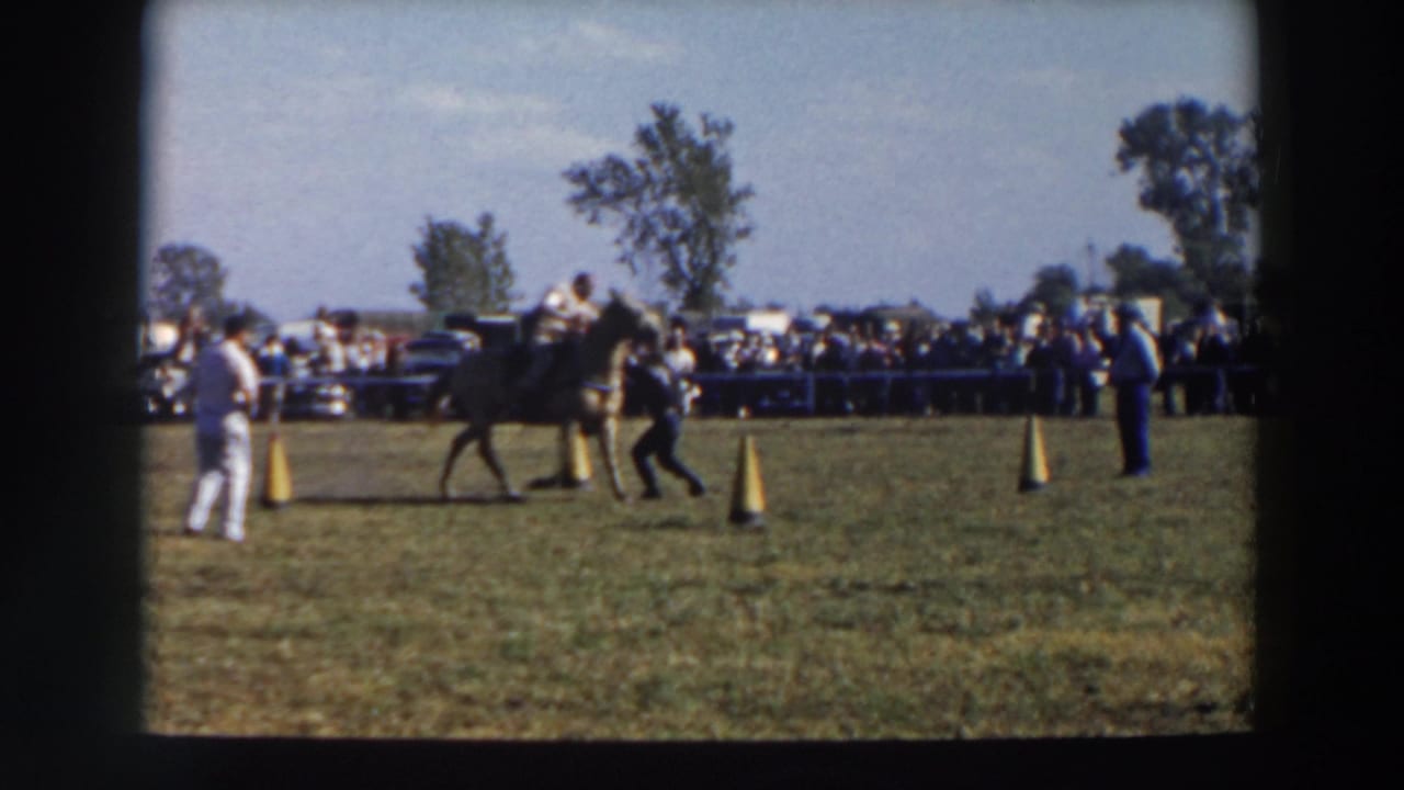 Dark horse and rider pass between yellow cones while people stand near the course.